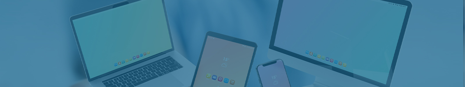 Website Info - Erica Lahoda Web Girl